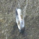 Edelstahl Partnerring VPSR19