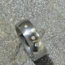 Edelstahlring VPSR30