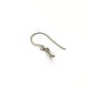 Edelstahlschmuck Ohrhänger SH457