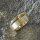 Goldring mit Diamant LR296
