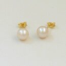 Goldschmuck Ohrstecker 205OS2603