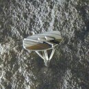 Indianerring ET-R03330