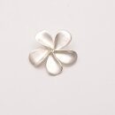 Silberschmuck Anhänger MXA580